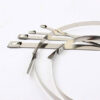 Stainless Steel Cable Tie